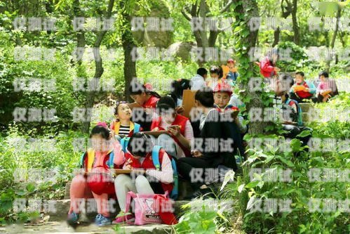 探秘東城區電話機器人公司的神奇地址東城區電話機器人公司地址在哪里