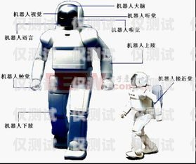 揭秘 95 開頭電話機器人，工作原理、優勢與應用95開頭電話機器人怎么打