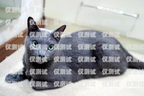 藍貓電銷卡激活要錢嗎？多少錢？藍貓電銷卡激活要錢嗎多少錢一張