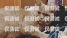 藍貓電銷卡客服電話——提供專業(yè)服務(wù)的橋梁藍貓電銷卡客服電話是多少