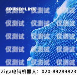 語音電銷機(jī)器人收費(fèi)模式解析語音電銷機(jī)器人怎樣收費(fèi)的