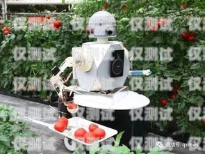 龍里縣電話(huà)機(jī)器人價(jià)格比較，哪家更便宜？機(jī)器人電話(huà)多少錢(qián)