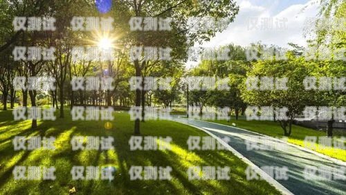 廊坊外呼電話系統多少錢？全面解析與選擇指南外呼系統電話費多少錢