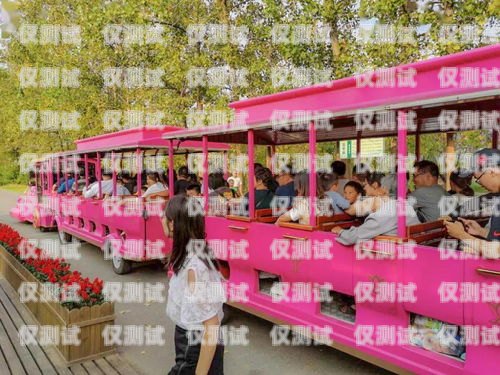 鄂爾多斯電銷專用卡是什么卡？全面解析與深度探討鄂爾多斯電銷專用卡是什么卡啊