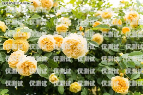 電銷卡的優缺點及問題分析電銷卡的優缺點及問題分析