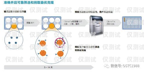 滁州外呼系統(tǒng)維護，保障高效溝通的關(guān)鍵環(huán)節(jié)外呼系統(tǒng)收費標(biāo)準(zhǔn)
