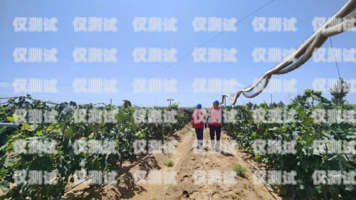 阿勒泰外呼系統(tǒng)的重要用途阿勒泰公司拓展