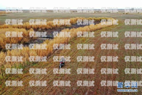 阿勒泰外呼系統(tǒng)的重要用途阿勒泰公司拓展