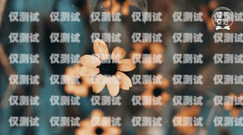 南通呼叫中心外呼系統哪家好？深度解析與推薦南通呼叫中心外呼系統哪家好一點